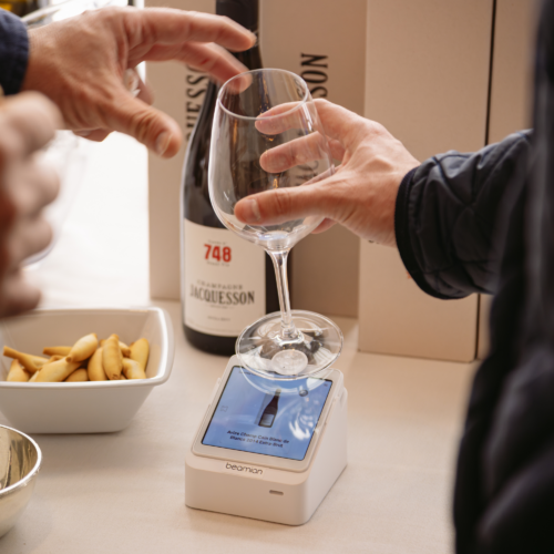 Lavinia Connecta Case Study